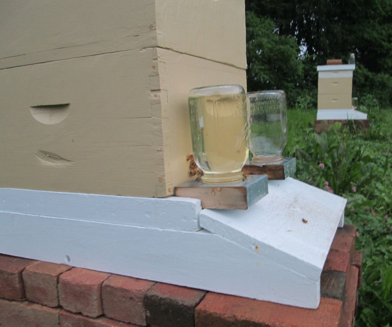 Entrance Bee Feeder