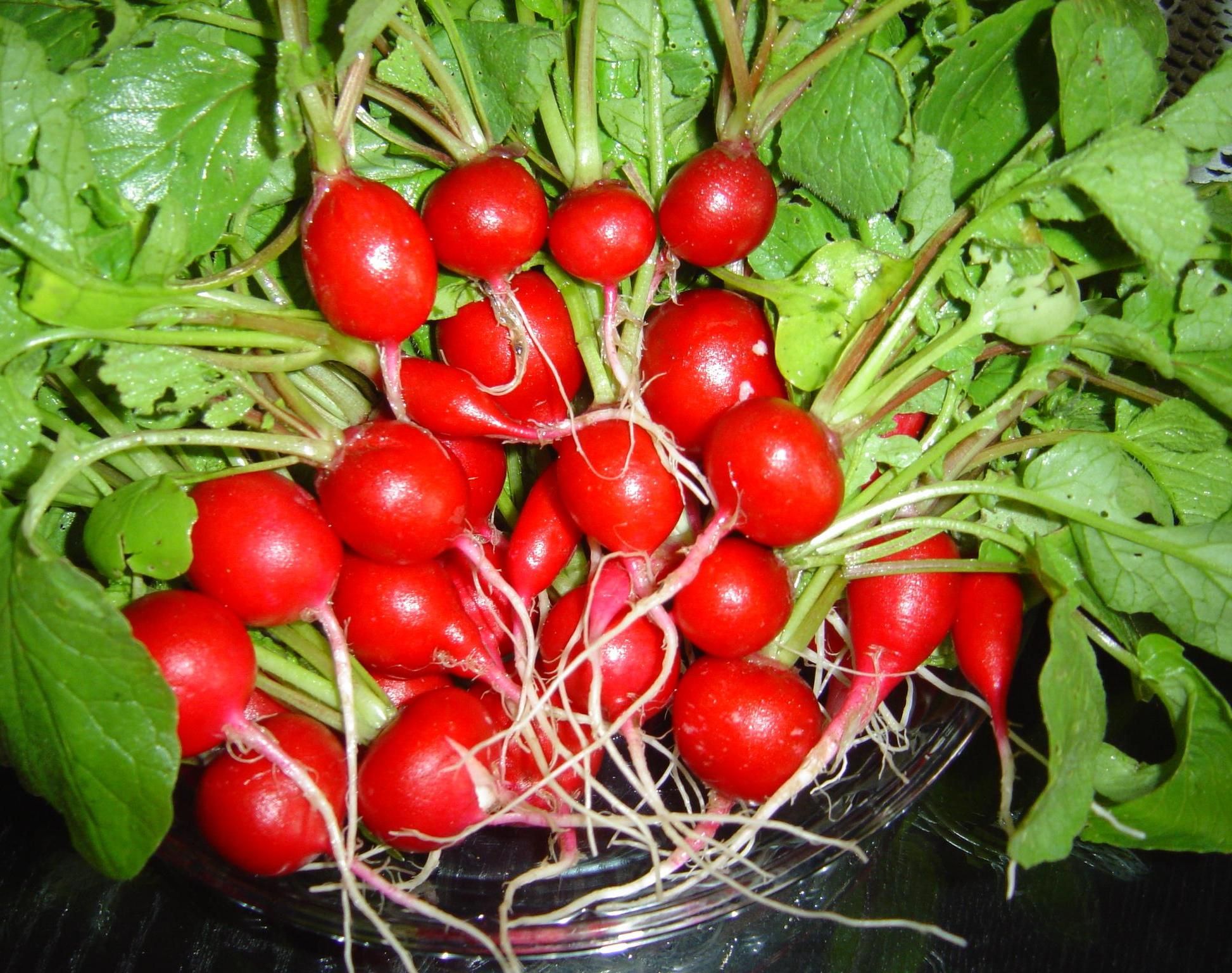 Sistema De Irrigação Automática Feito Com Arduino