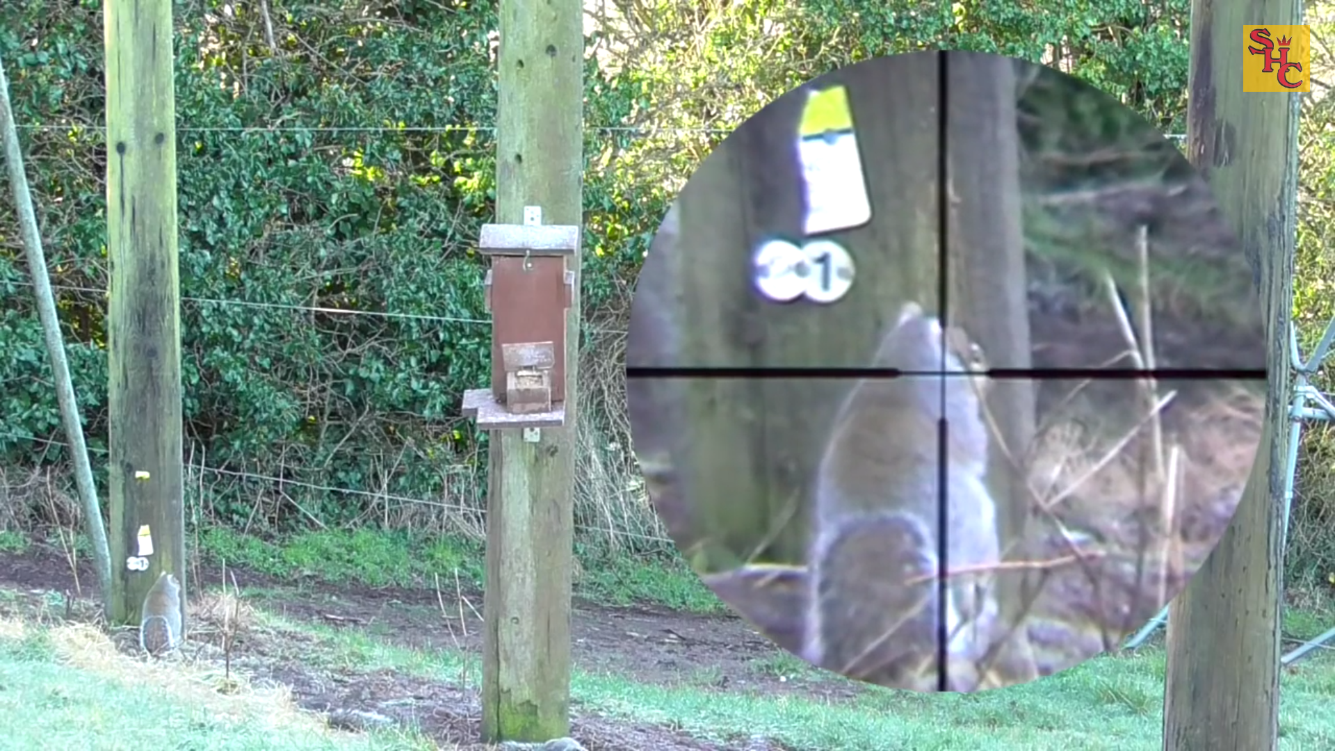 How to Get Rid of Unwanted Pests