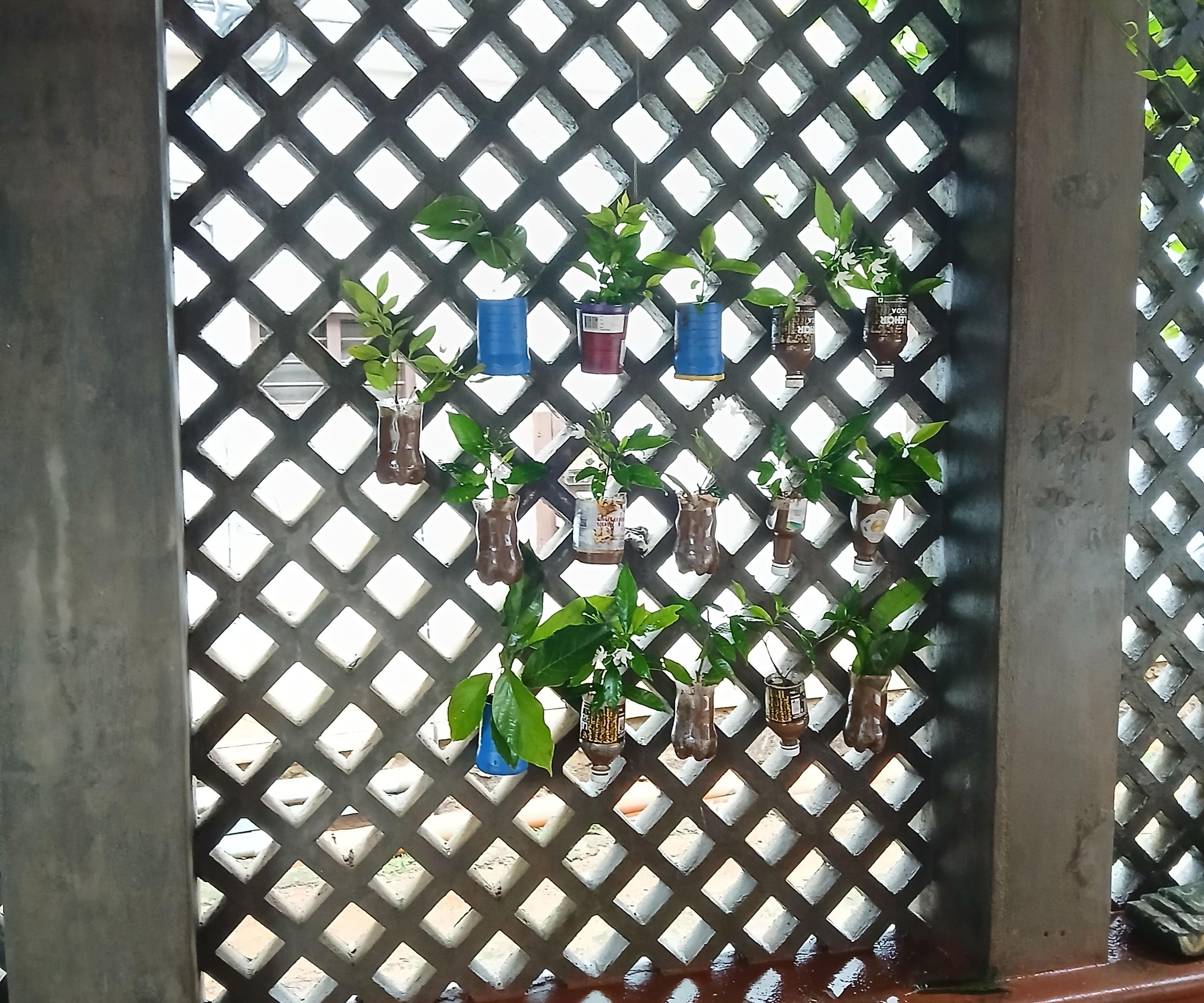 Super-easy Recycled Bottle Vertical Garden