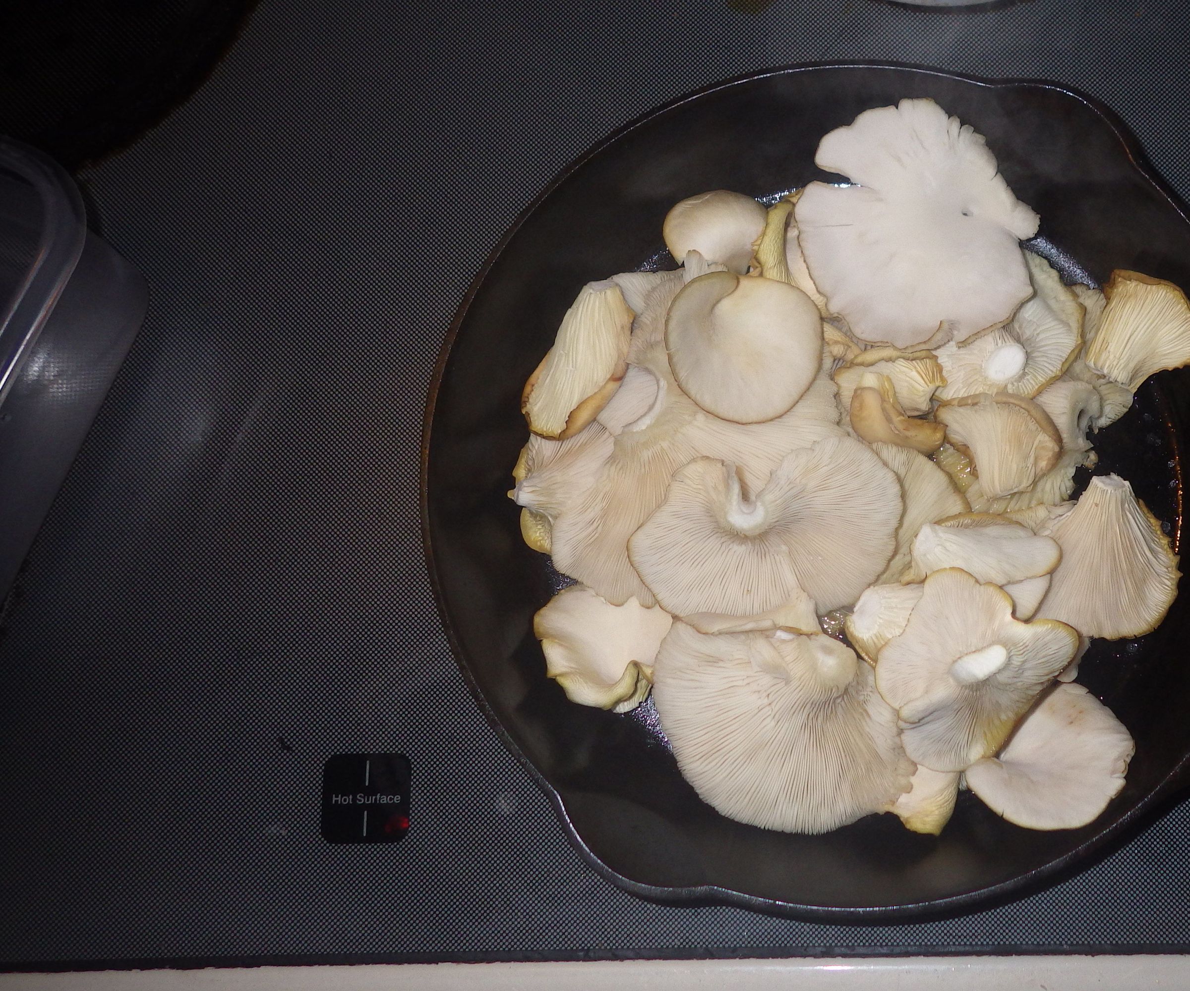 Oyster Mushrooms Simplified