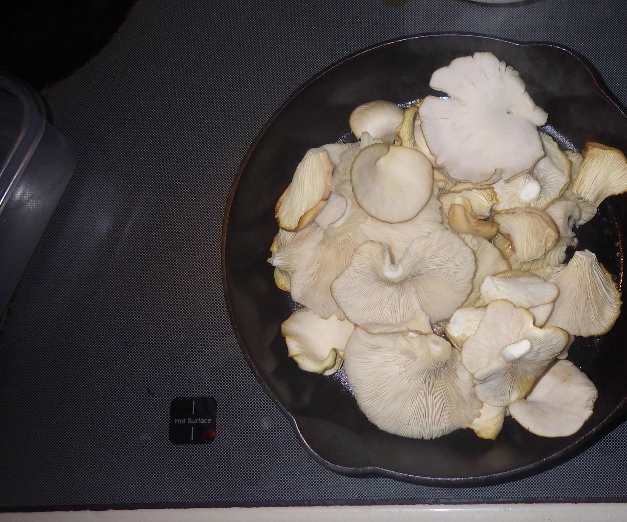 Oyster Mushrooms Simplified : 8 Steps (with Pictures) - Instructables