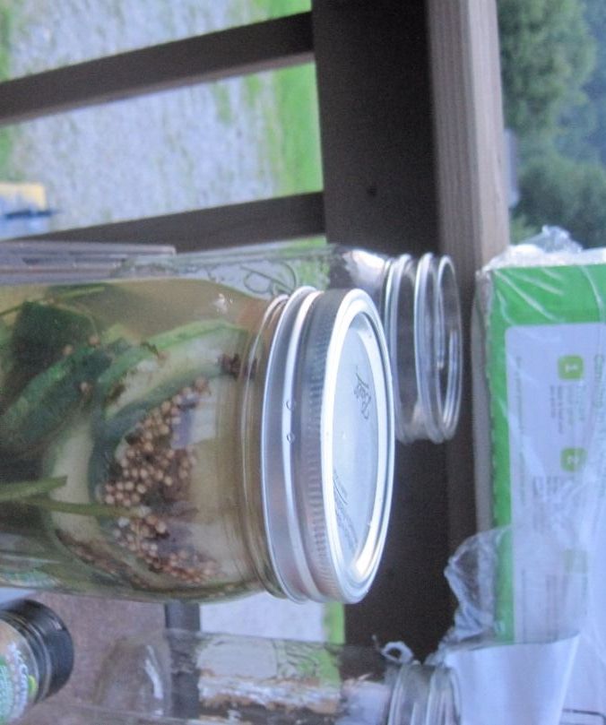 Homemade in the Jar Pickles