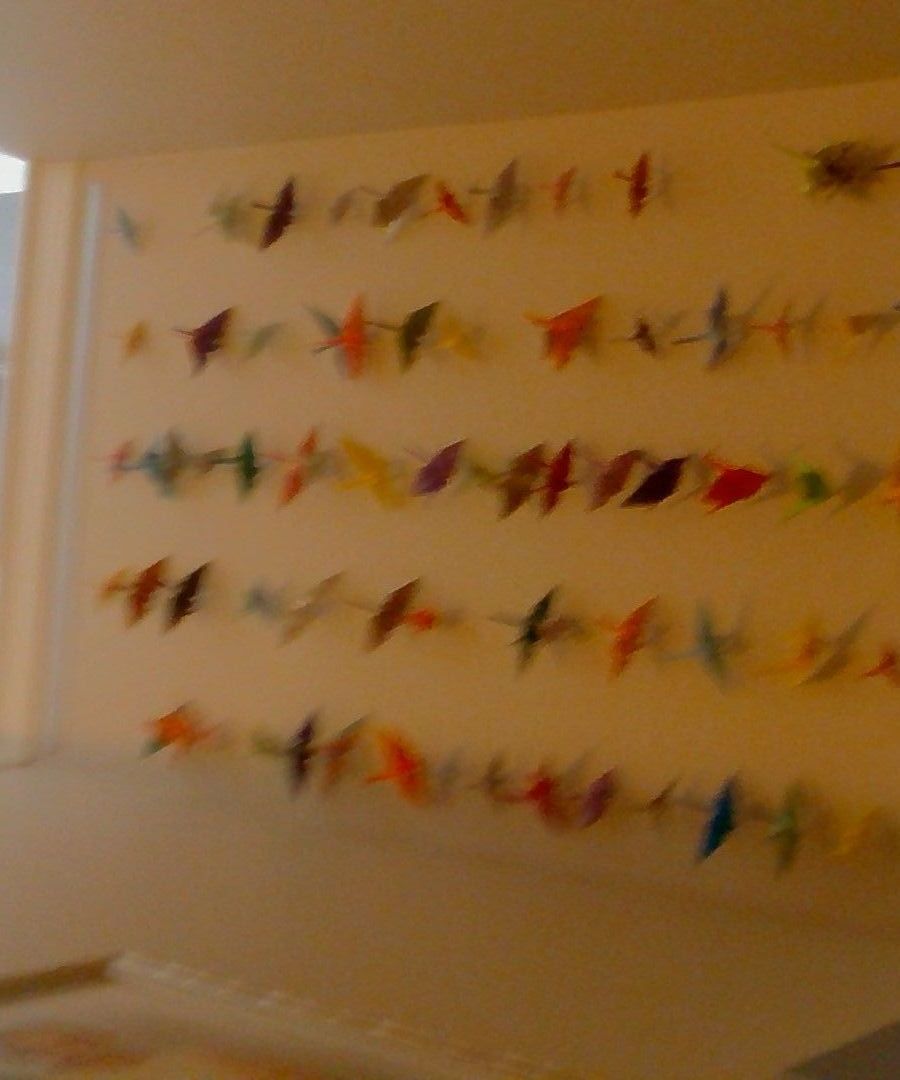 Origami Crane Wall Display