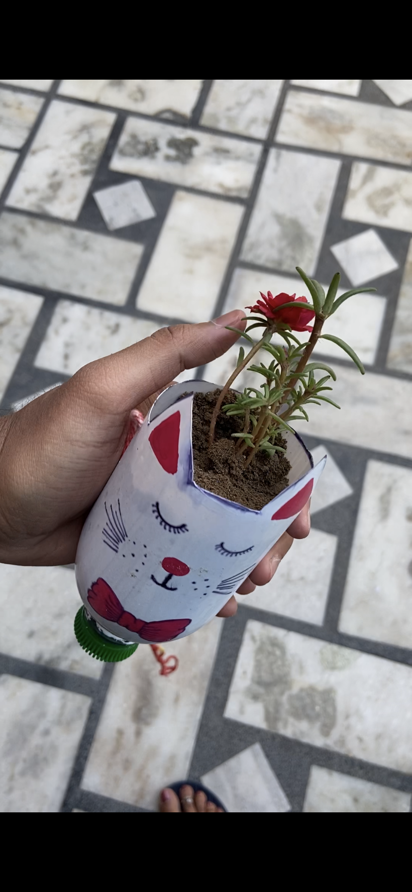 Planting the Plants