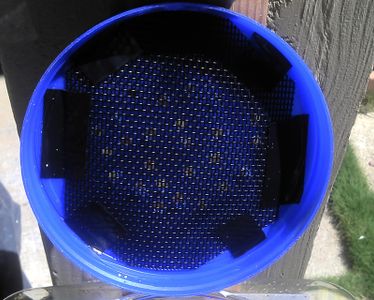 Free, Green, Solar Dehydrator
