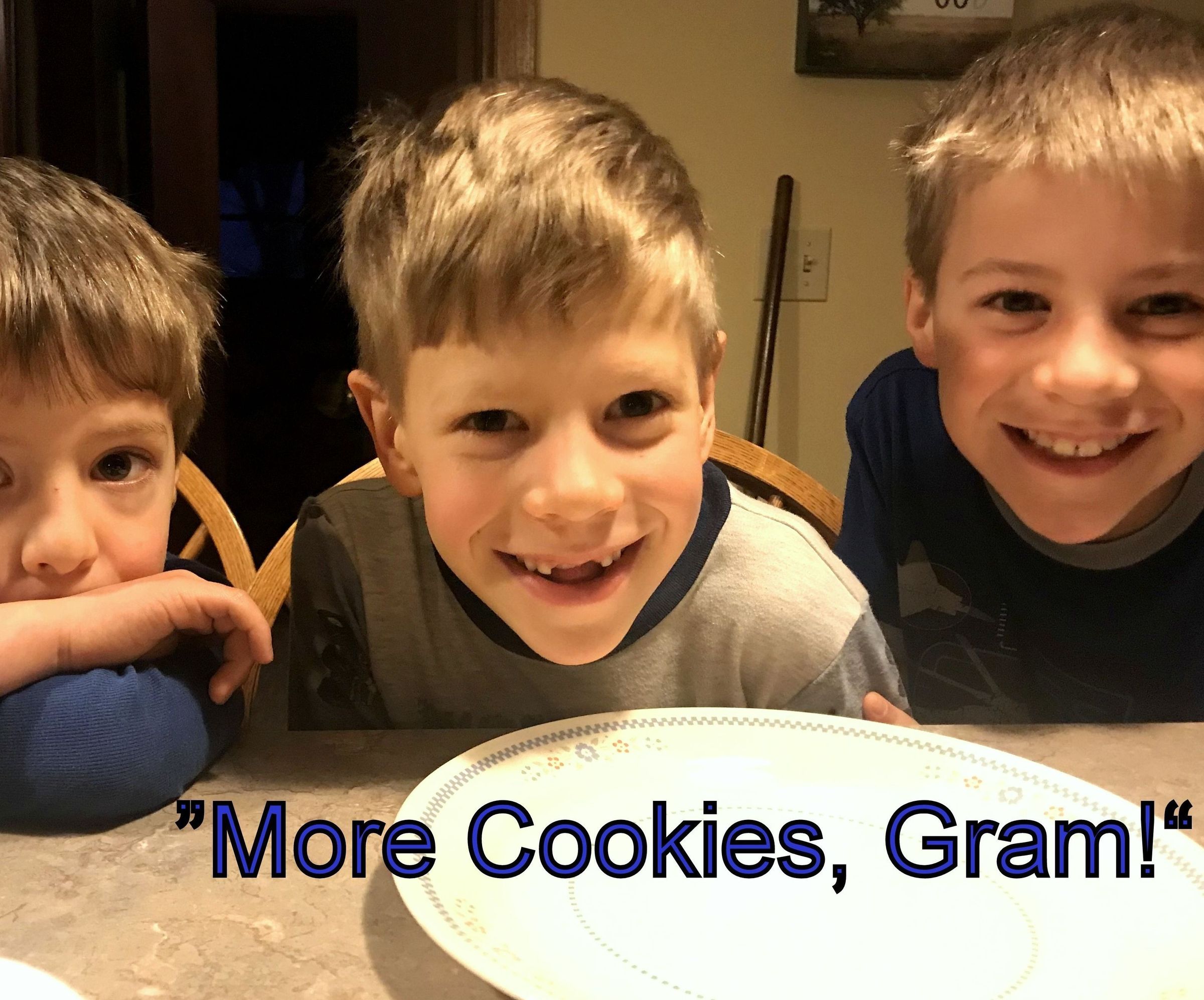 We All Scream for Chocolate Chip!!! 