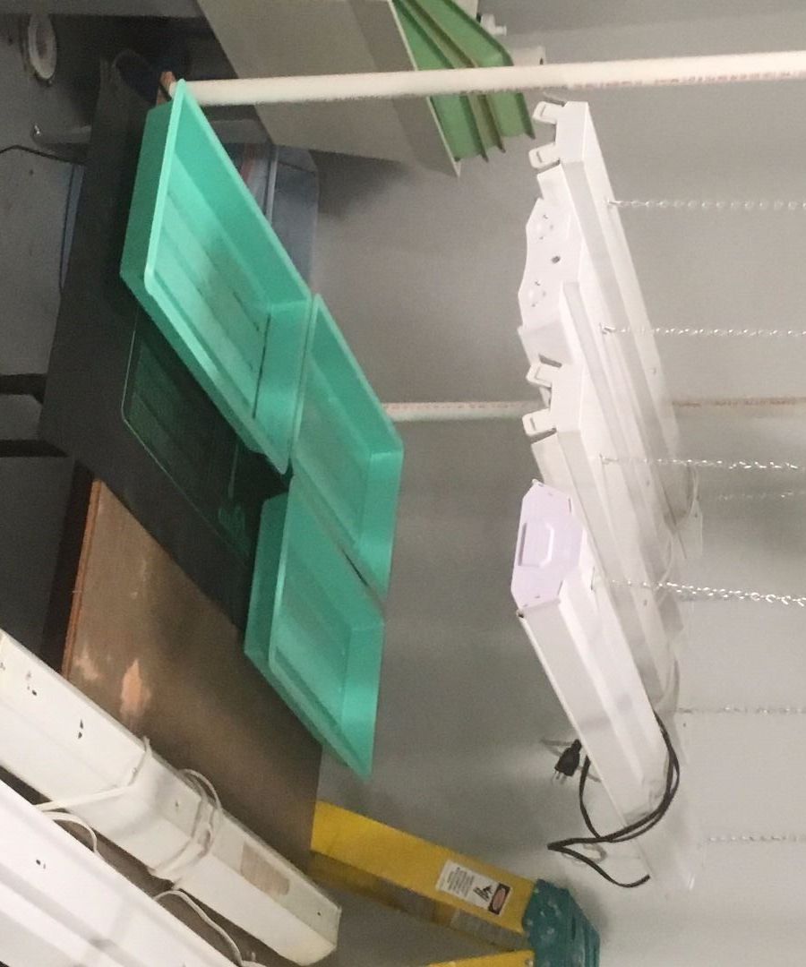 Indoor Seed Starting Table With Lights