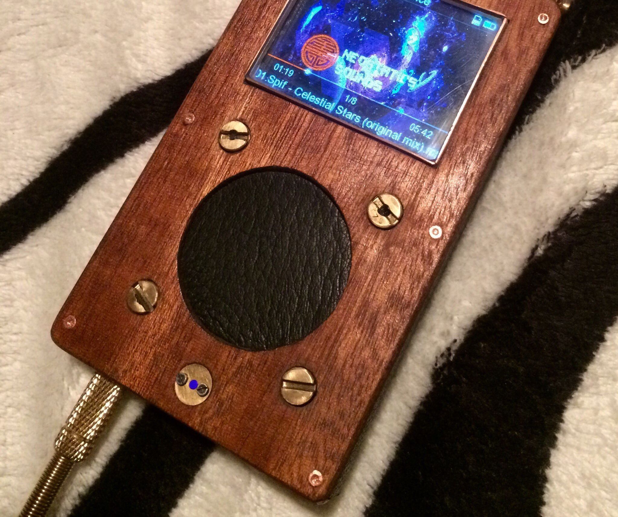 Steampunk Case for My FiiO X1 Mp3 Player