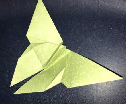 Best Butterfly Origami Ever!