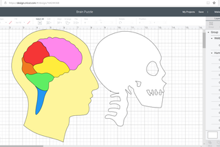Mapping Your Mind- a Lesson on the Human Brain : 7 Steps ...