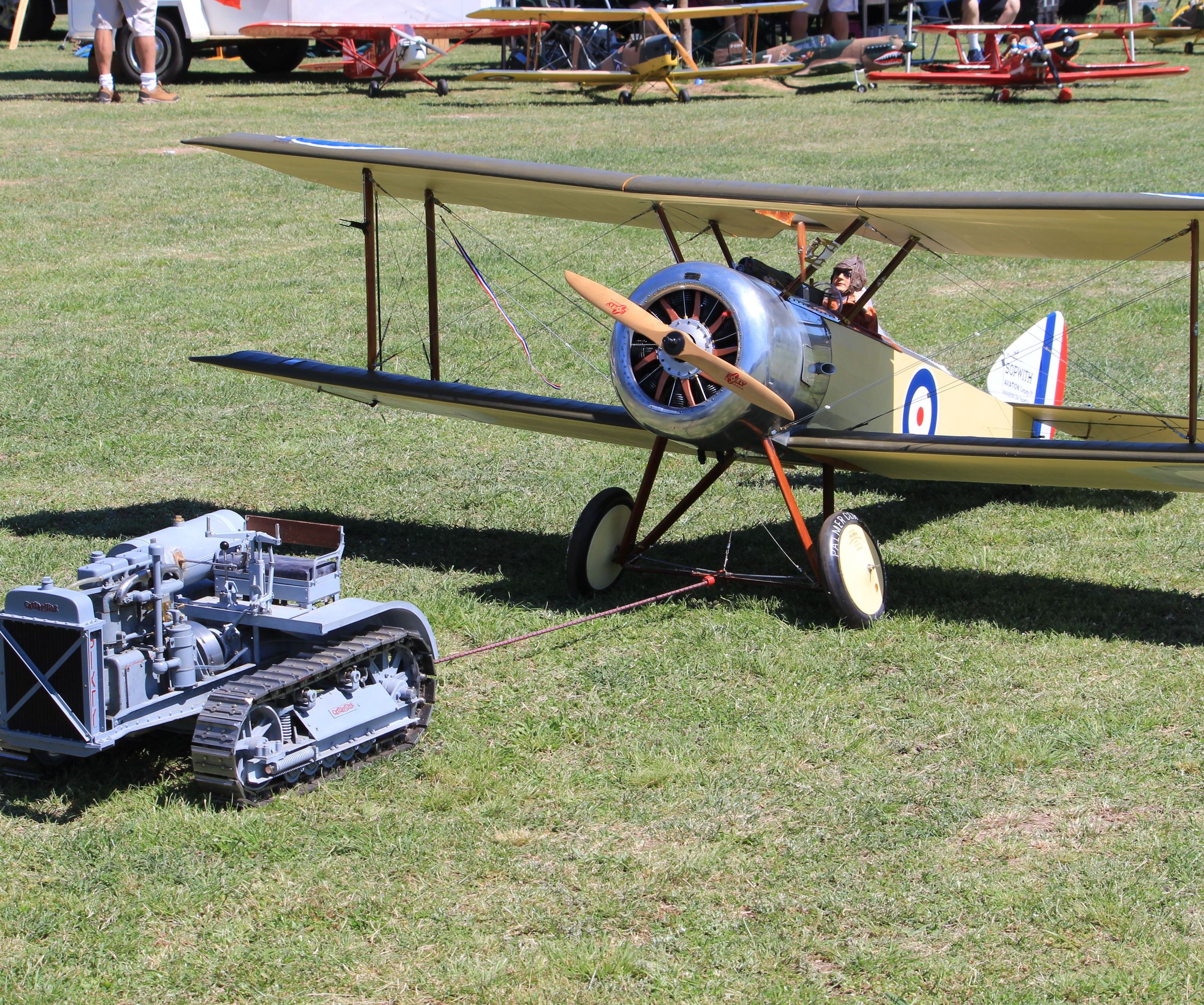 WW1    1/3 Flying Museum Quality 1/3 Scale Sopwith Pup