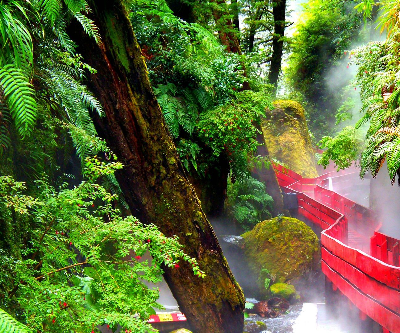 Reasons Why Glenwood Springs Is the Ideal Health Spa Rest Place.