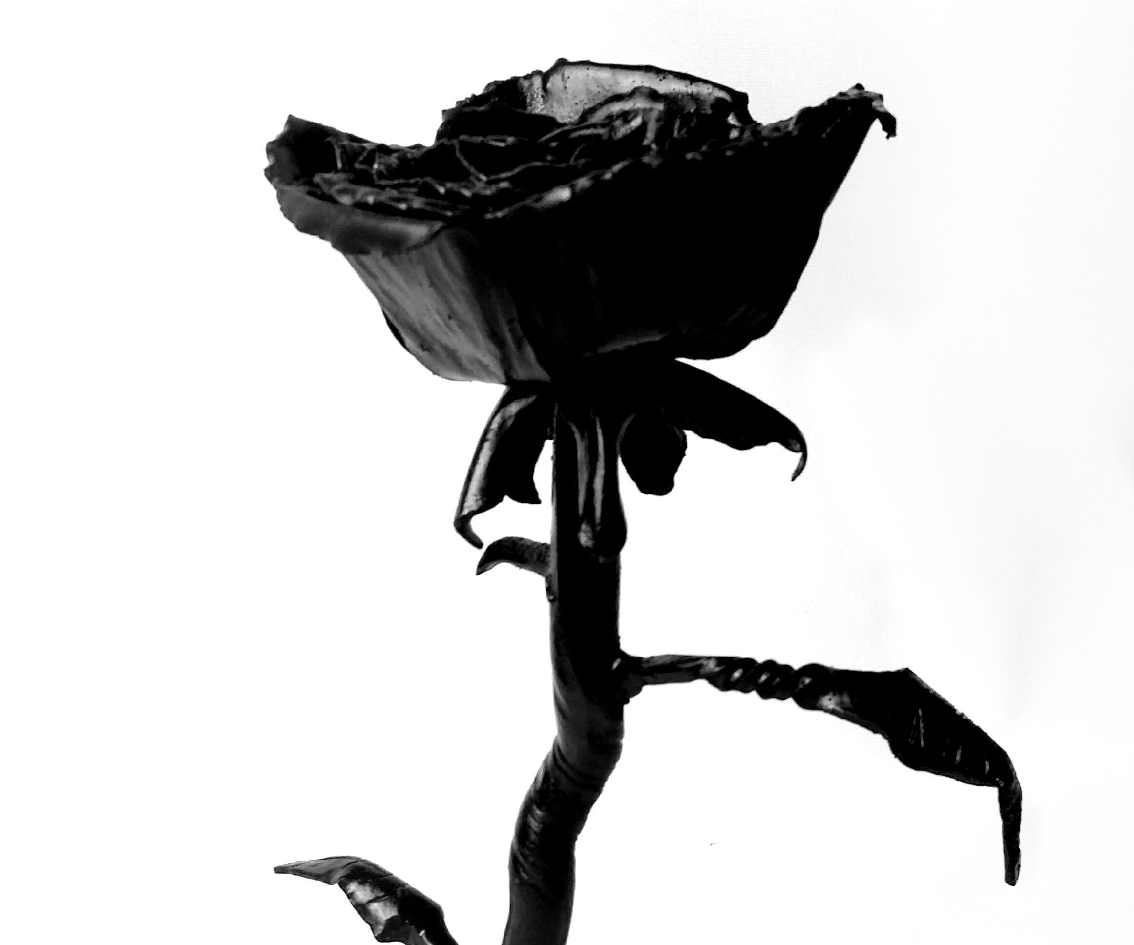 Hand Forged Rose