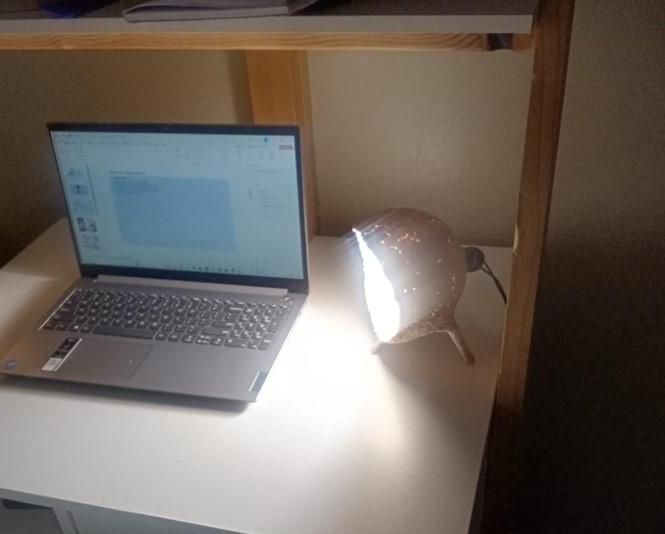 BIO-DEGRADABLE LUMINAIRE