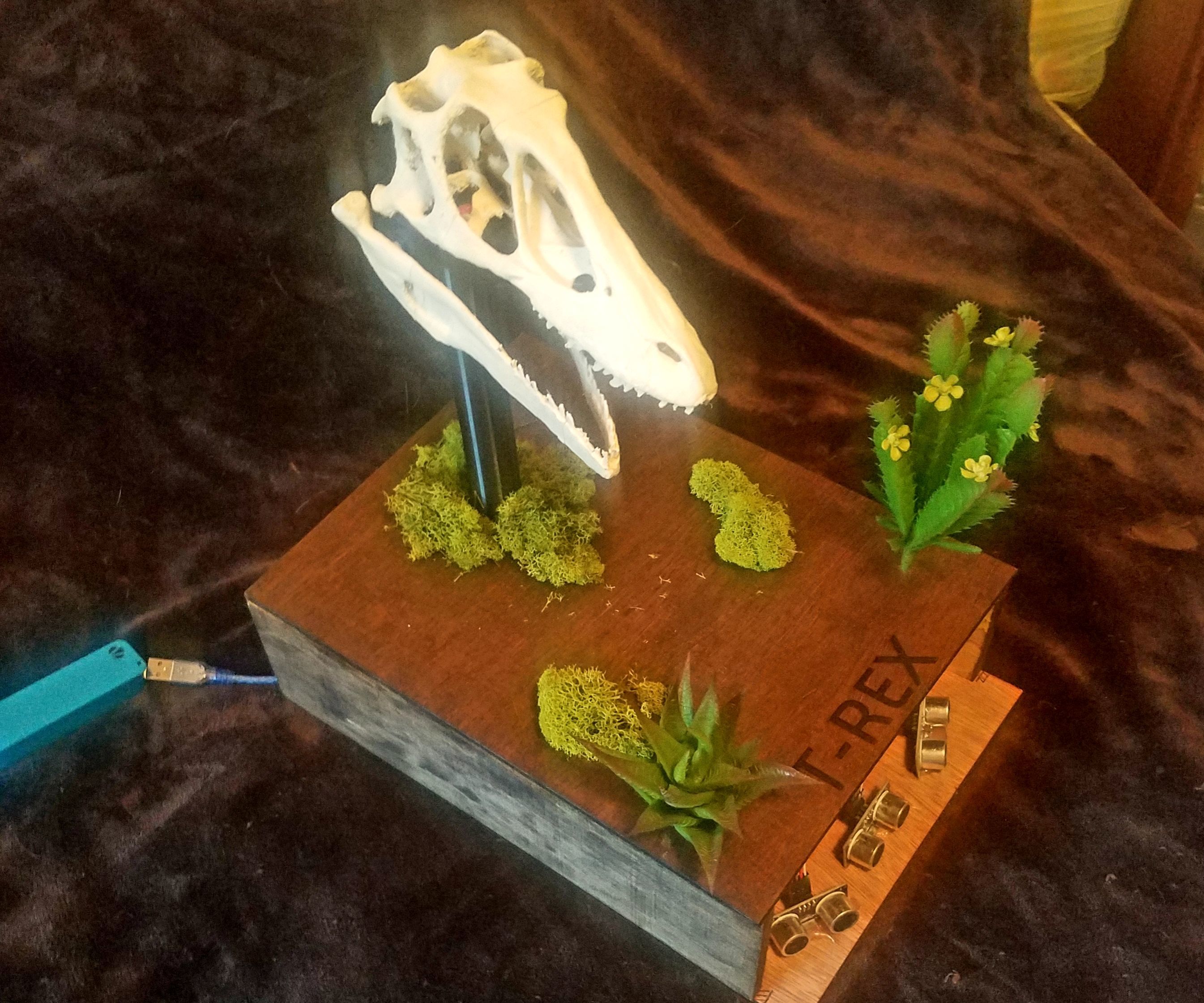 Interactive Dinosaur Skull