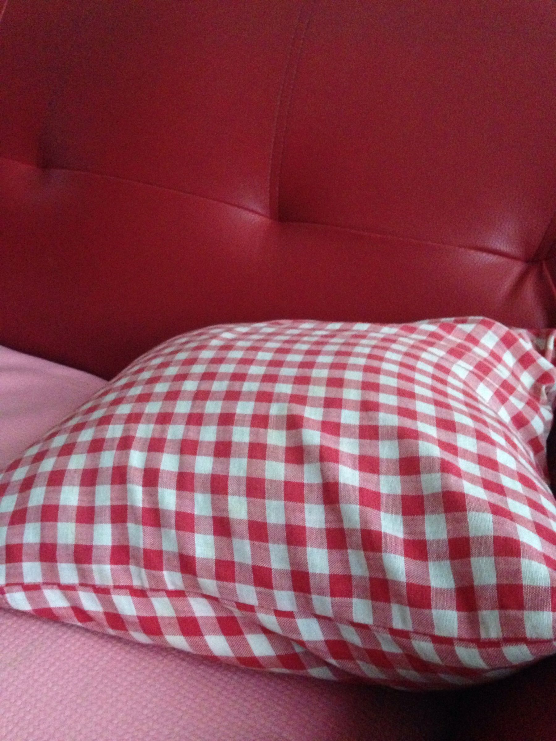 How to Move Your Pillow So Your Dog Can Sit on It
