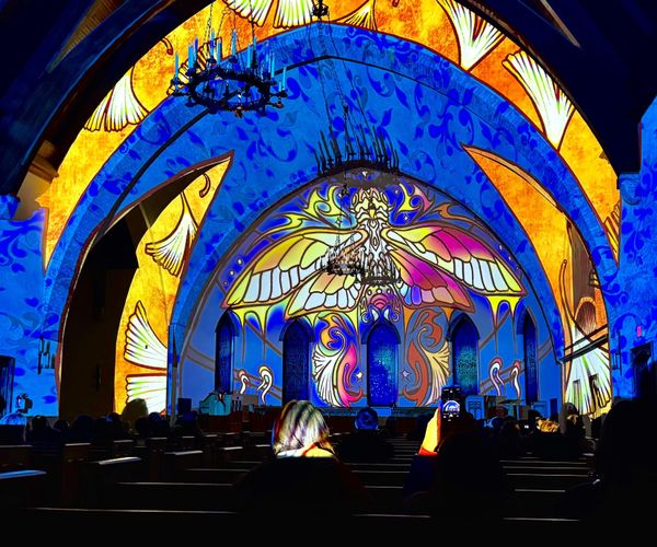 Year of the Cicada Projection Mapping