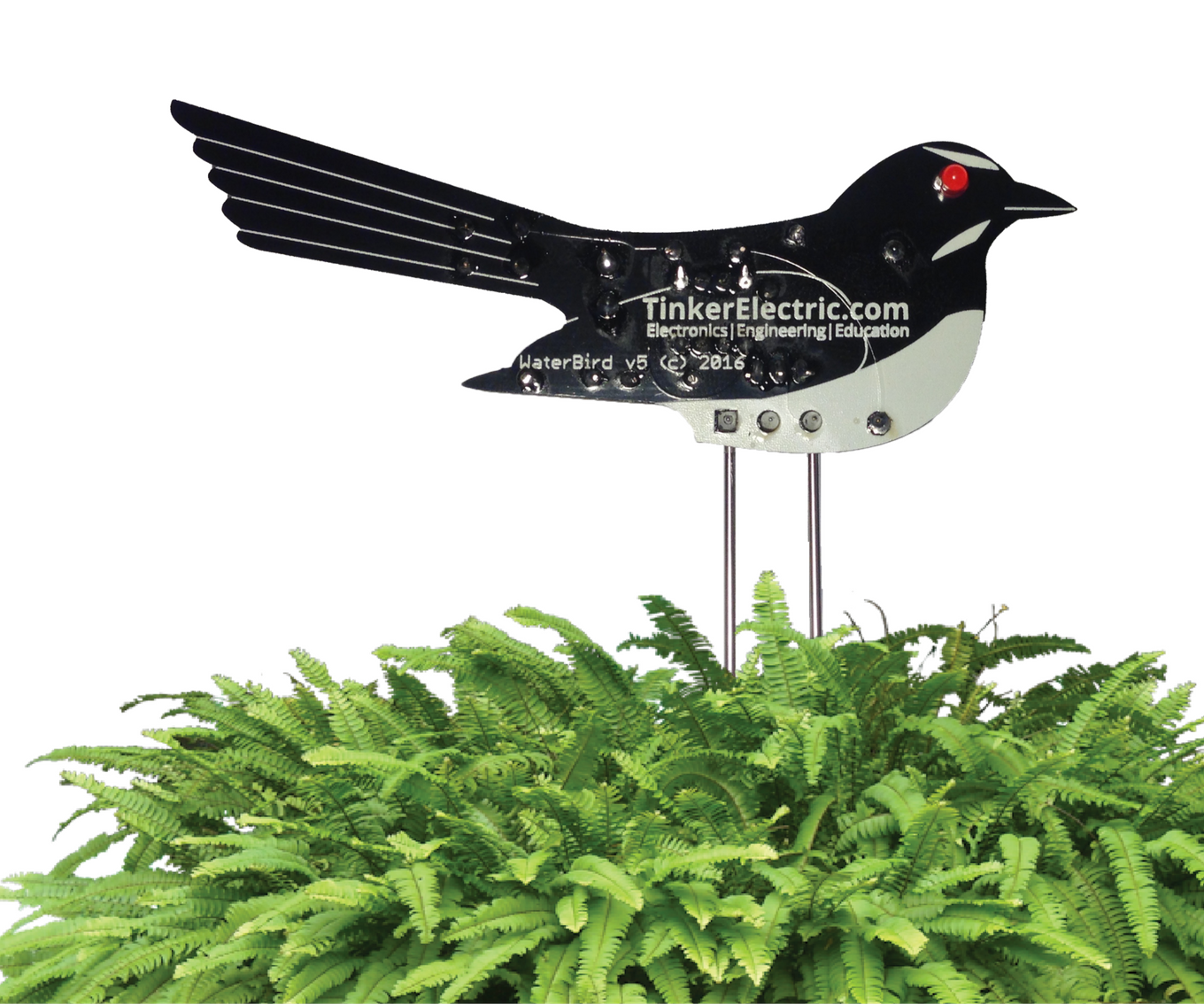 Water Me Bird, Sweet Reminder to Water My Plants