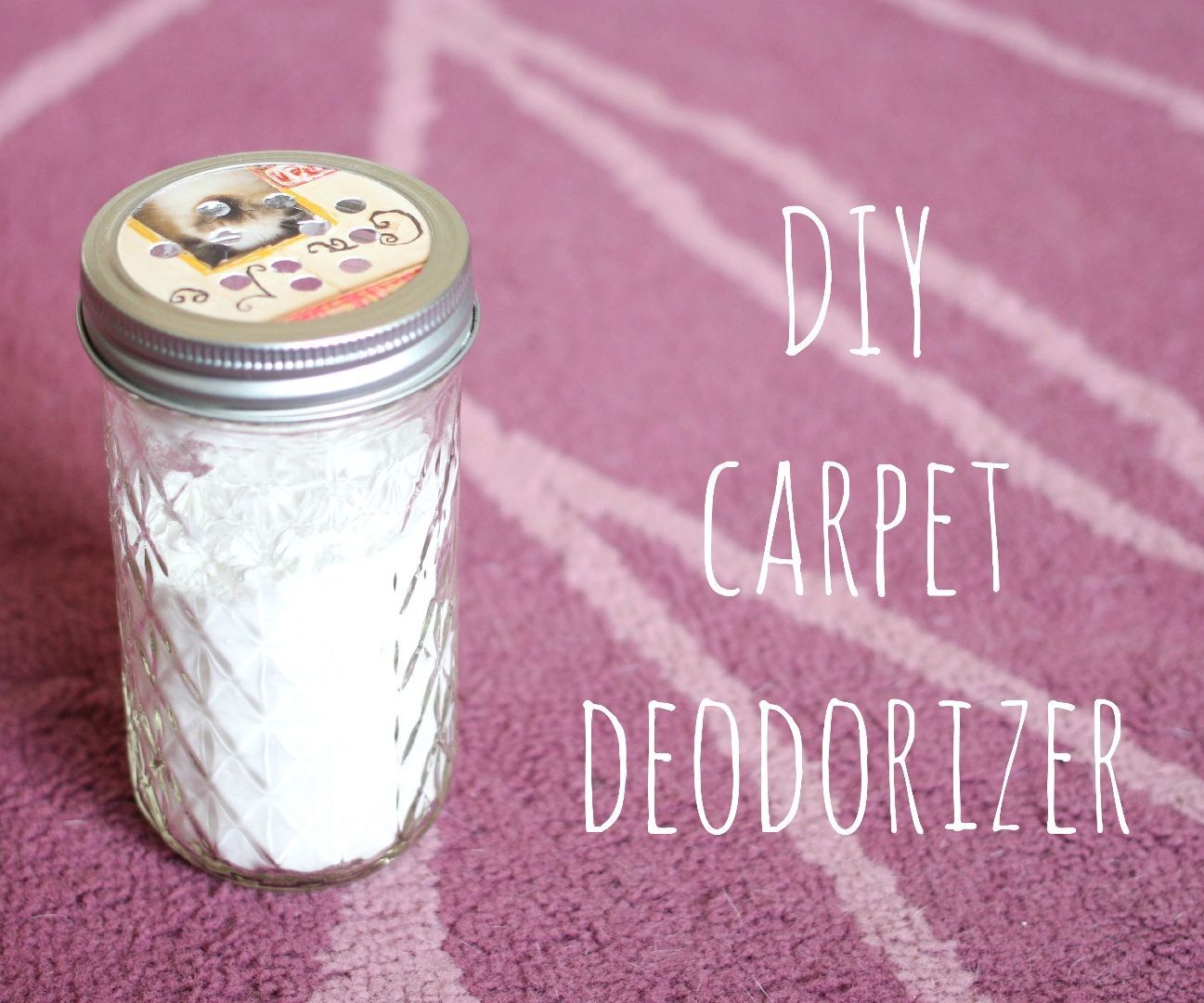 Homemade Carpet Deodorizer 
