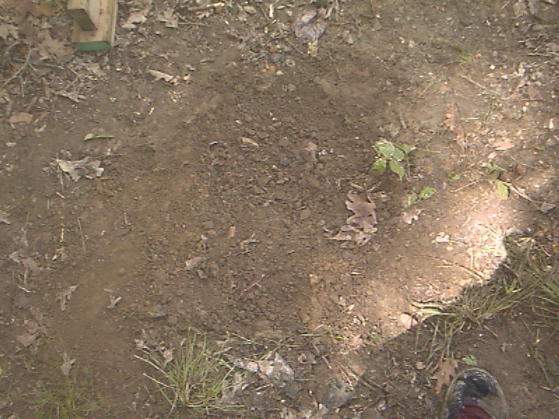 Mrpowerful's Pit Trap