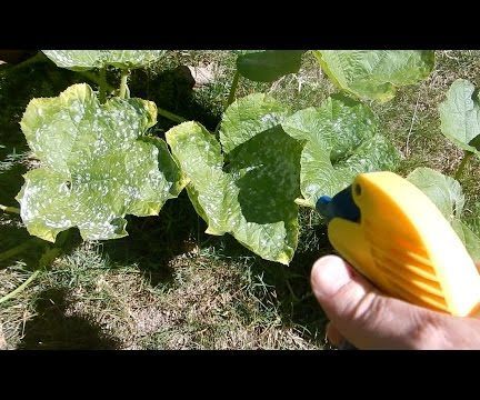 Plant Mildew Spray