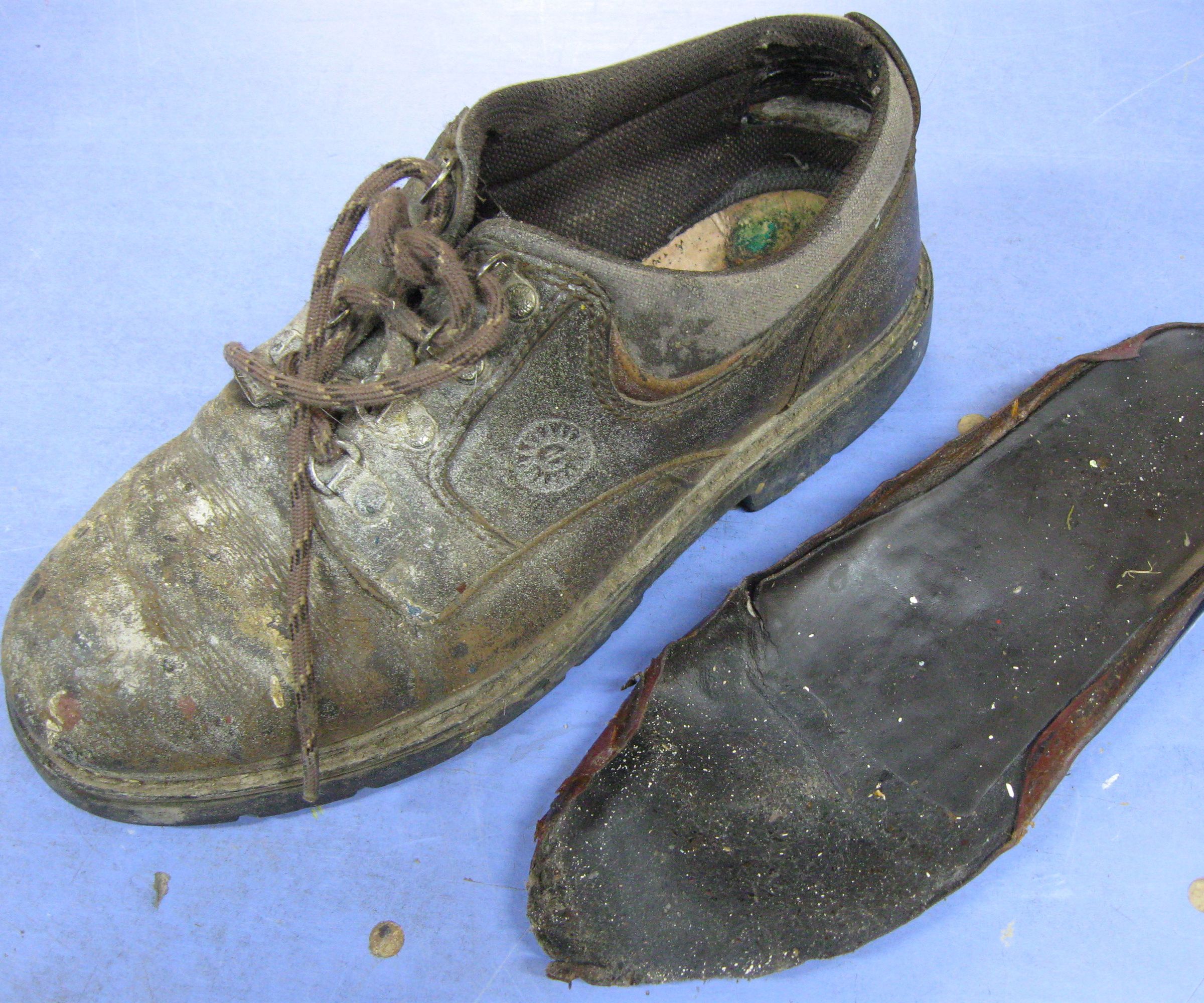 Dr. Quack's Easy Shoe Insoles