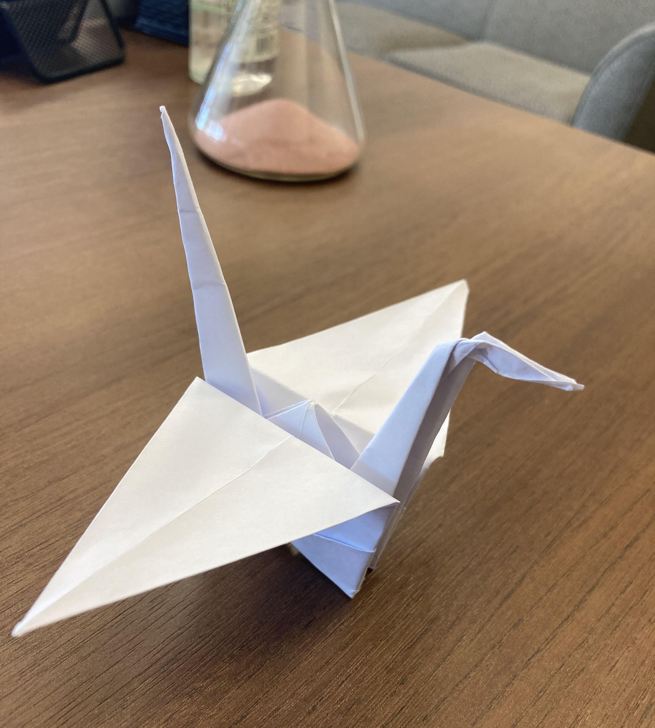 Folding a Paper Crane