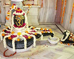 Increasing Importance of Puja Service!