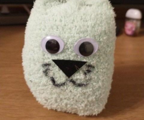 The Cat-Sock, the Perfect Fluffy Friend