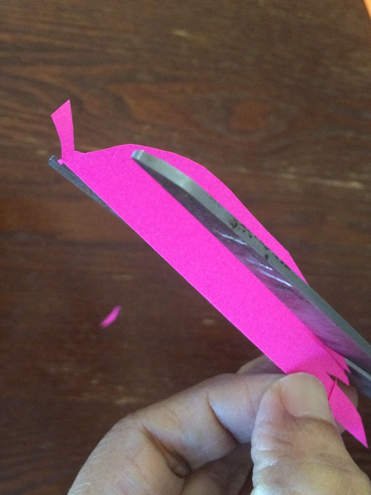 a Feather in One's Cap 8 Steps Instructables