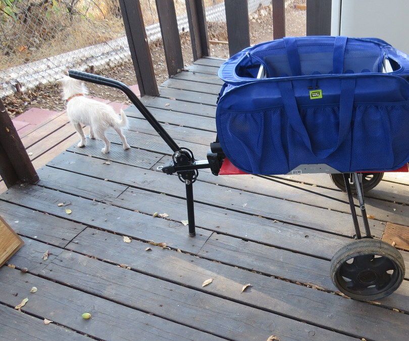 Folding Cart for Your Bicycle or Shopping When Walking to the Market