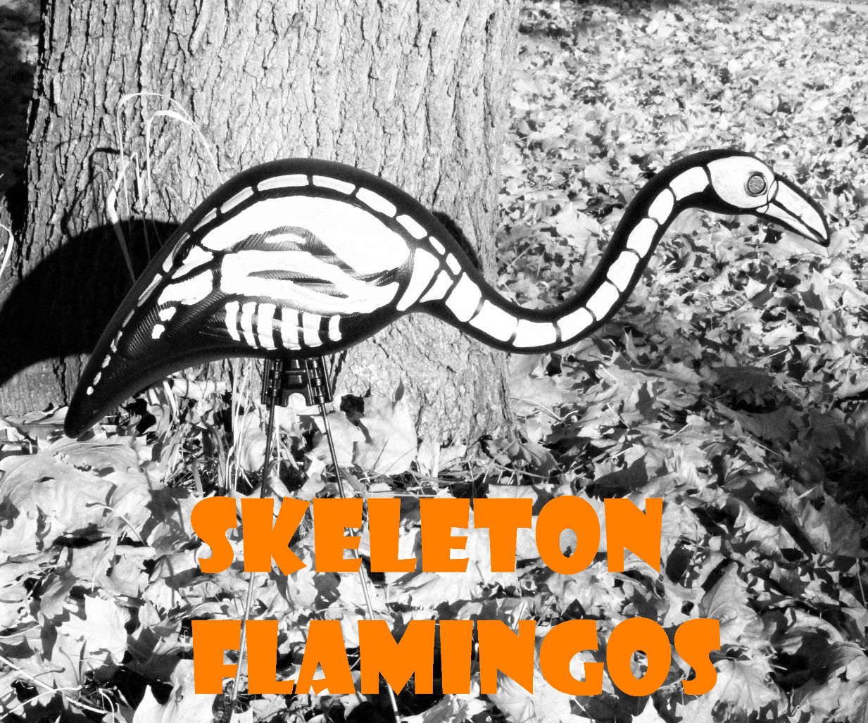 Skeleton Flamingos