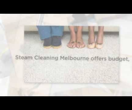 Carpet Cleaning