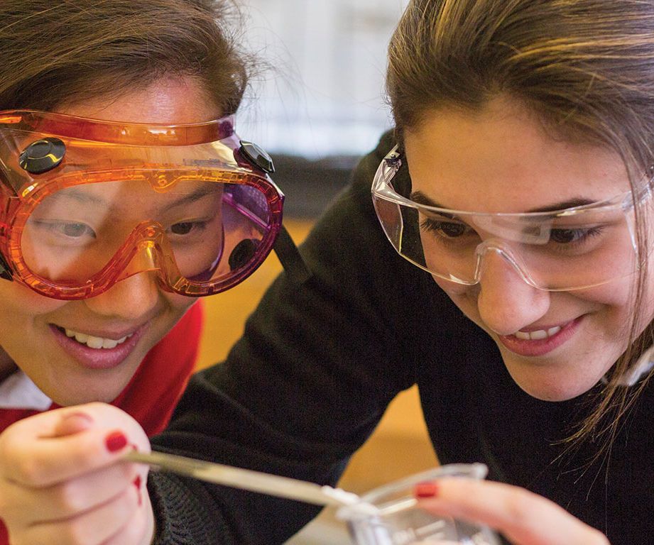 Get Brief Insights Into the Medicine Summer Course at Cambridge Immerse