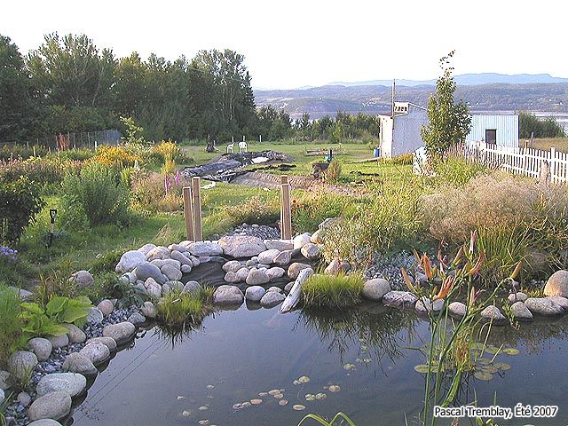 Garden Stream - Build a Stream or Creek / Natural Filter for Pond