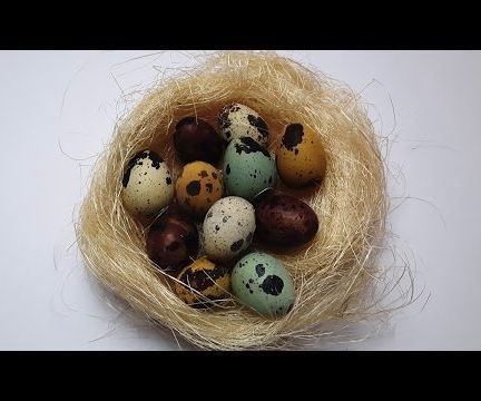 Naturally Dyed QUAIL EGGS - Experiment