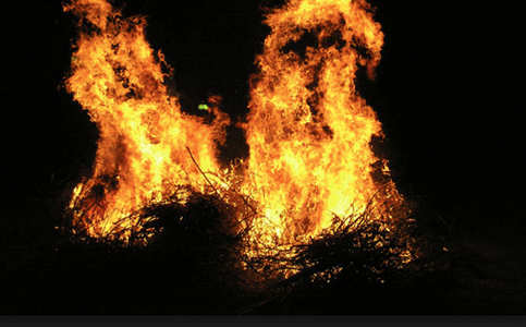 BURN THE PLANTS THAT YOU CUT AWAY