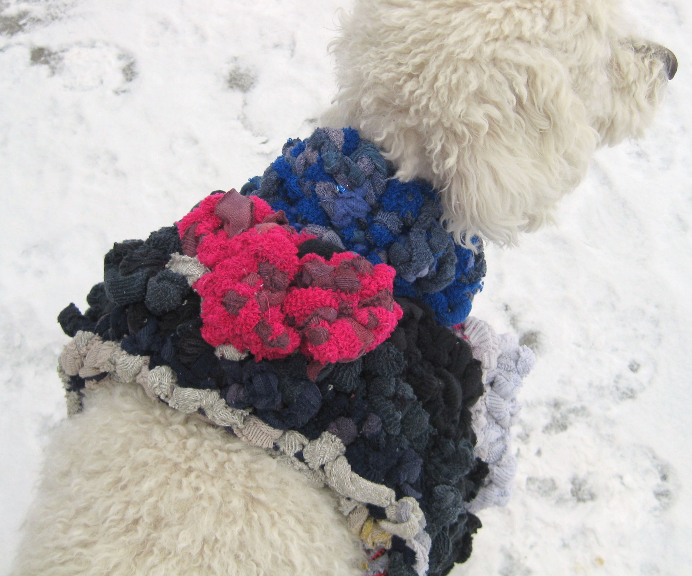 Crochet Dog Sweater From Old Socks