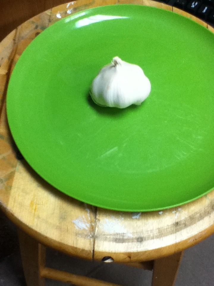 Garlic!!