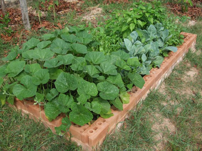 Durable Raised Garden Beds