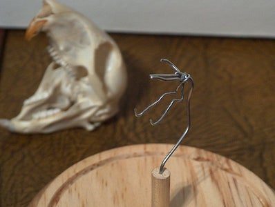 Simple Skull Display
