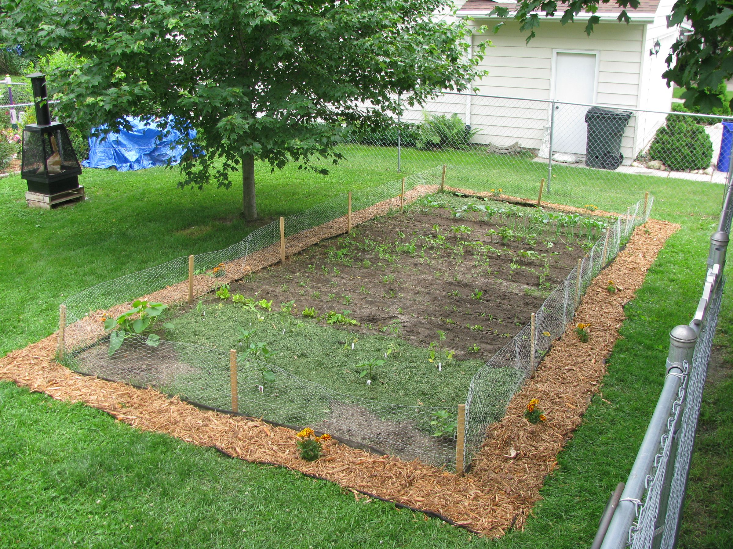 Garden Aesthetics Improvement