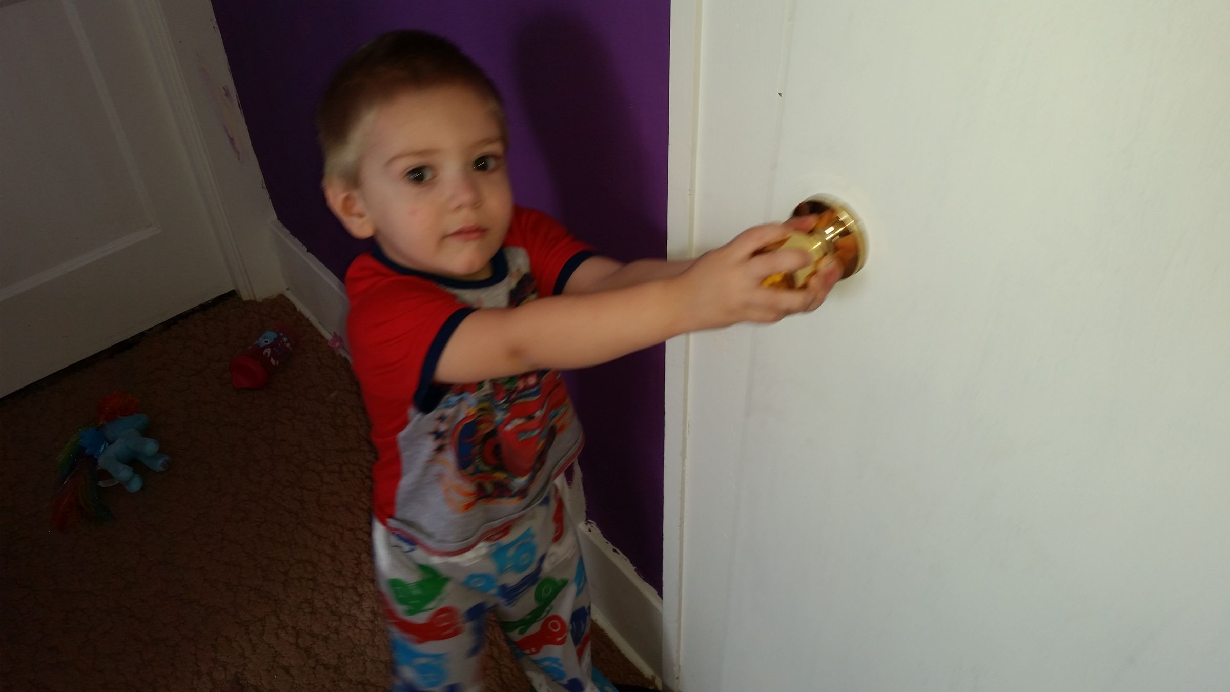 Zip Tie Hack Toddler Proof Doors