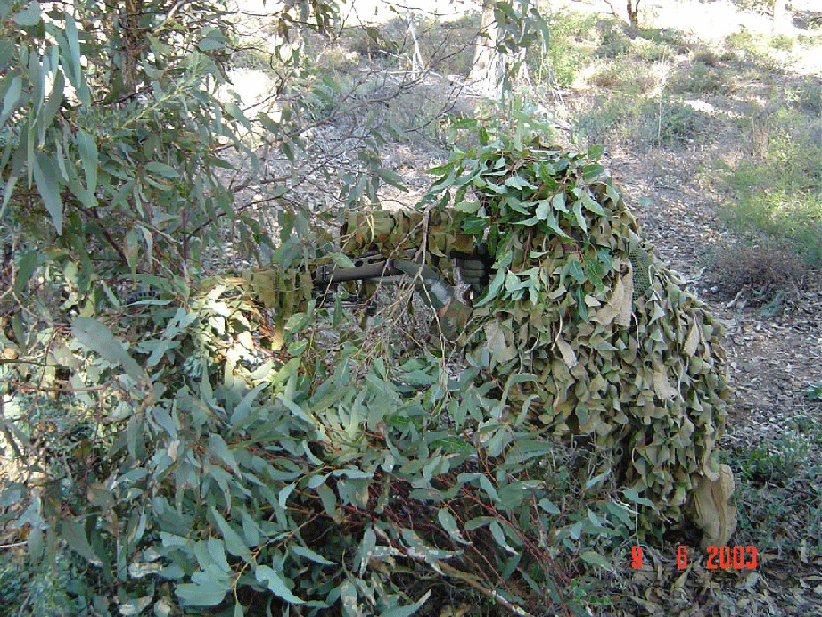 The Cheaper/Easier Ghillie Suit.