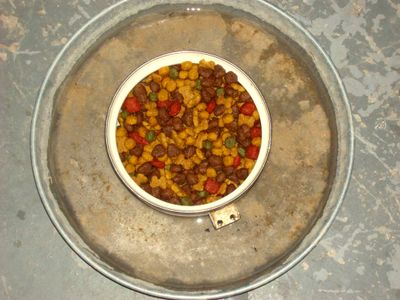will apple cider vinegar get rid of ants