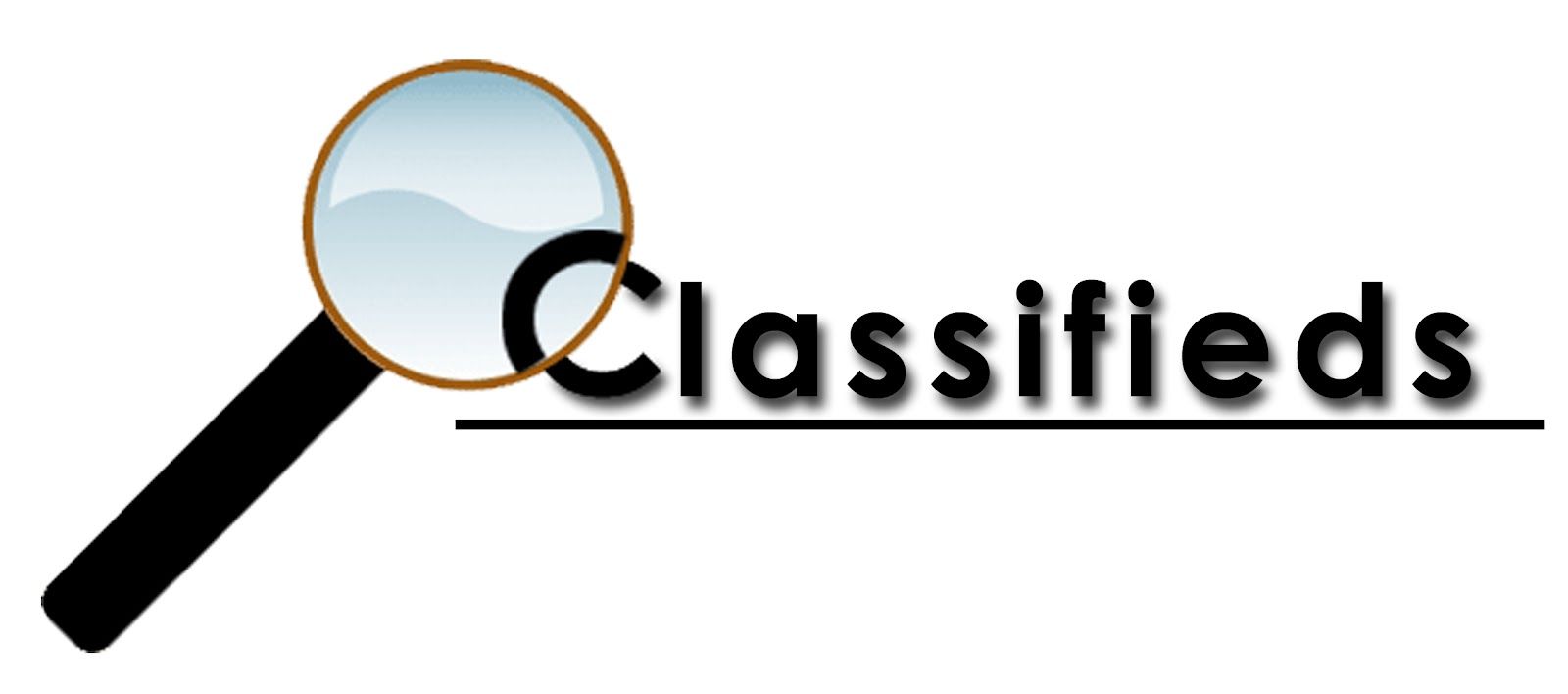 Expose Your Classifieds Globally