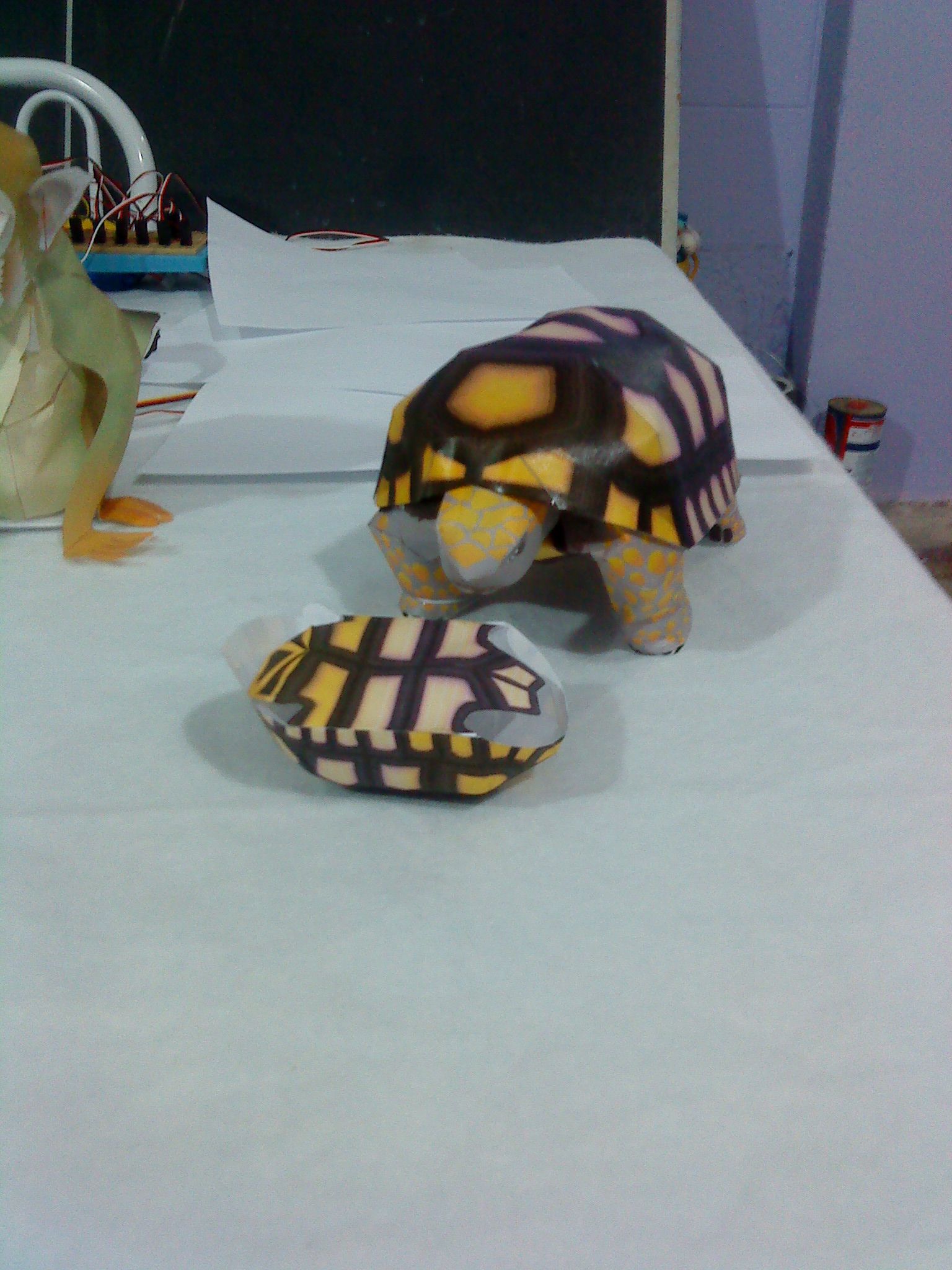 Mecatronic Tortoise