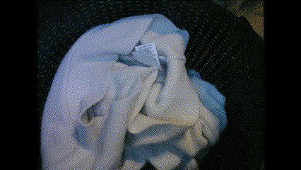 Raspberry Pi and PIR and Camera