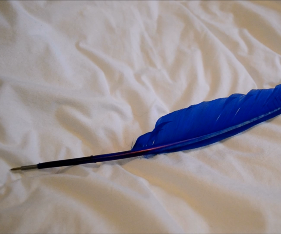 Harry Potter Quill DIY | CassKnowlton